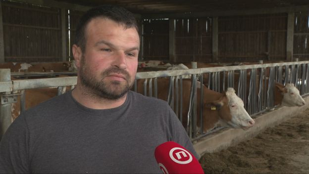 Ivan Đurašević, proizvođač mlijeka