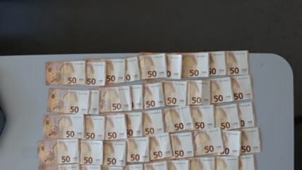 Policijska zapljena
