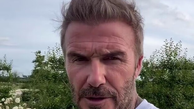 David Beckham