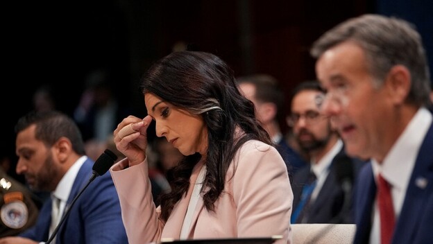 Tulsi Gabbard
