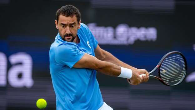 Marin Čilić
