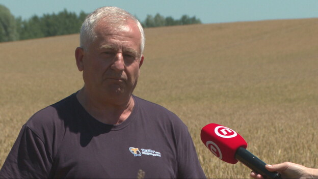 Mirko Laslo, ratar