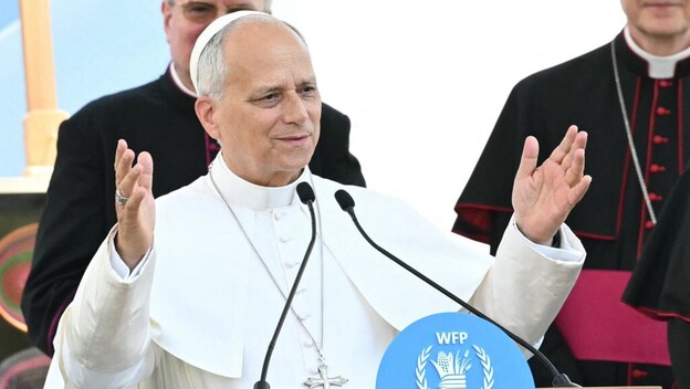 Papa Lav XIV.