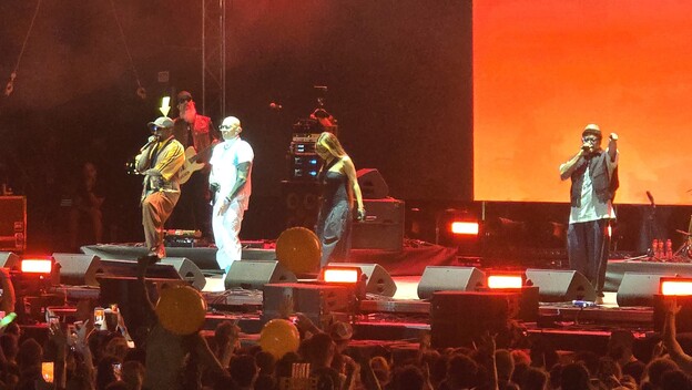 Black Eyed Peas - 4