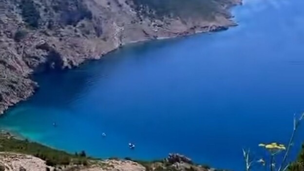 Pogled
