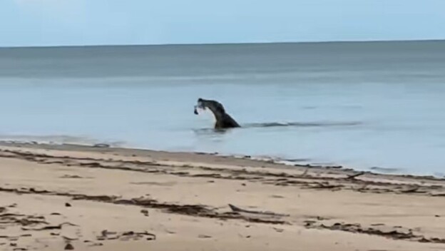 Idilična plaža