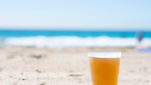 Pivo