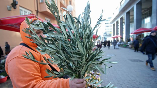 Maslinove graničice (Foto: Pixell)