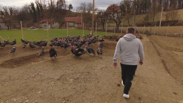 Damir Čurinc, vlasnik OPG-a (Foto: Dnevnik.hr)