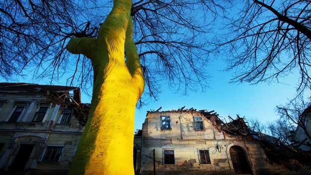 Donacijska kampanja Društva Naša djeca \