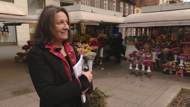 Razotkrivanje Urše Raukar Gamulin - 3