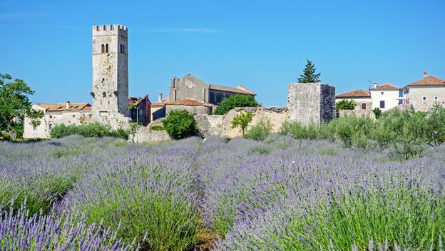 Sveti Lovreč - 1