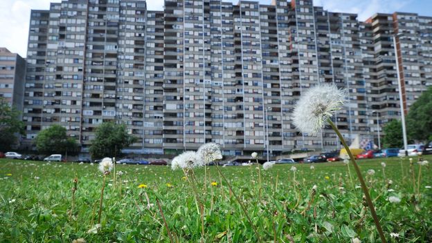 Travno - Mamutica