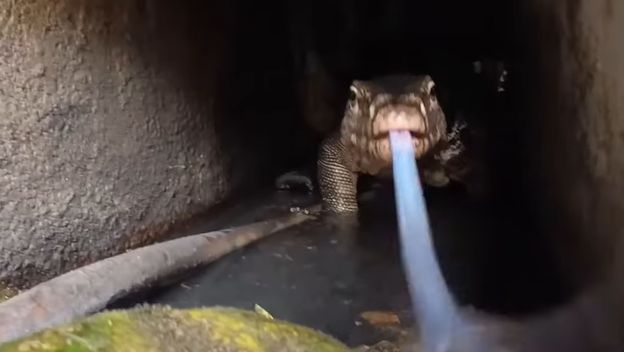 Bliski susret u odvodu