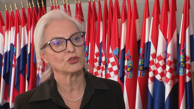 Dušica Radojčić, Možemo