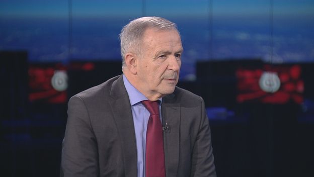 Luka Brkić, ekonomski analitičar