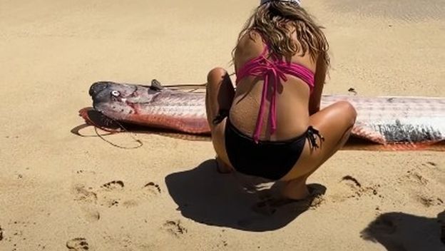 Riba veslo na plaži u Meksiku