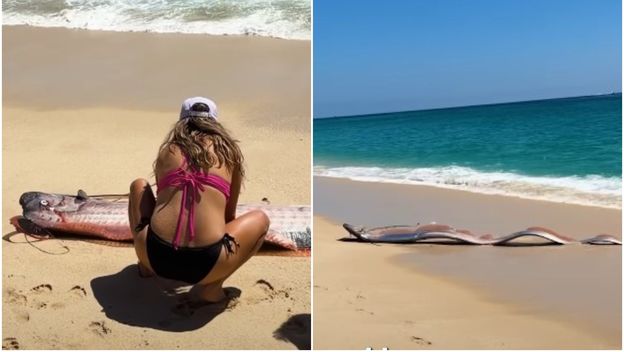 Riba veslo na plaži u Meksiku