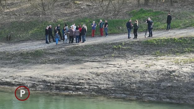 Desni Dubrovčak - 1