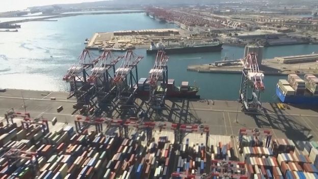 Zasutavljen izvoz junadi u Libanonu - 5