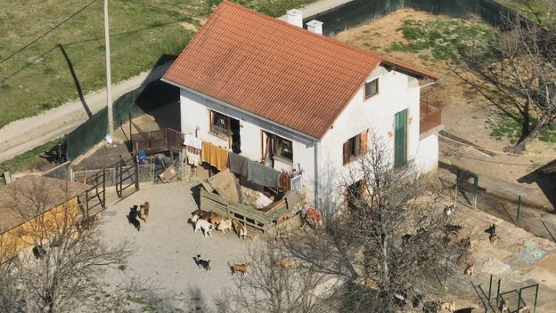 Poziv: Divlja skloništa za životinje