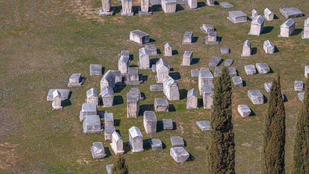 Nekropola Radimlja - 8