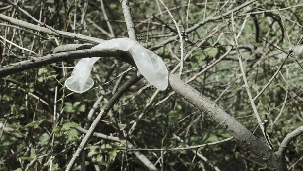 Kondom na grani, ilustracija