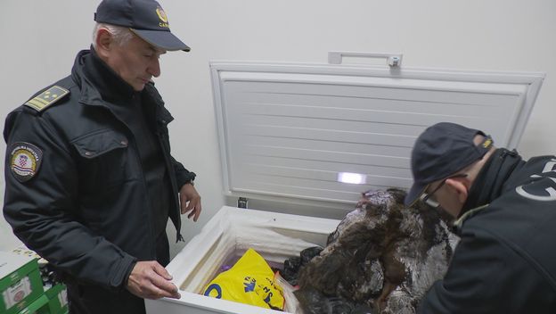 Bizarna zapljena na carinskom pregledu