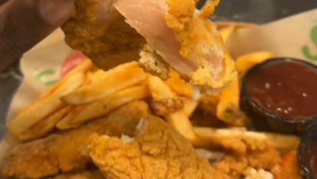 Sirova pohana piletina na tanjuru