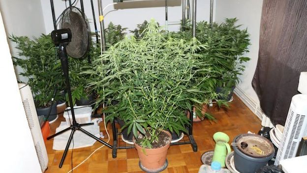 Zagrebačka policija na Trešnjevci pronašla drogu - 5