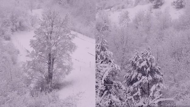 Snijeg u Gorskom kotaru