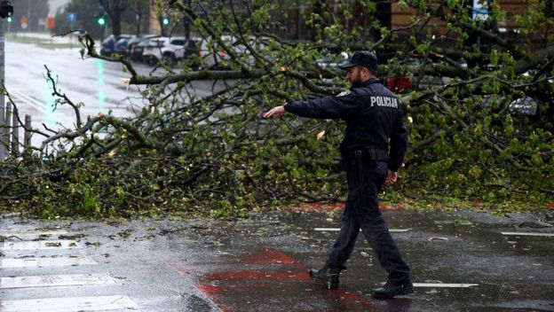 Srušena stabla u Zagrebu