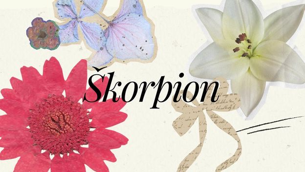 Škorpion