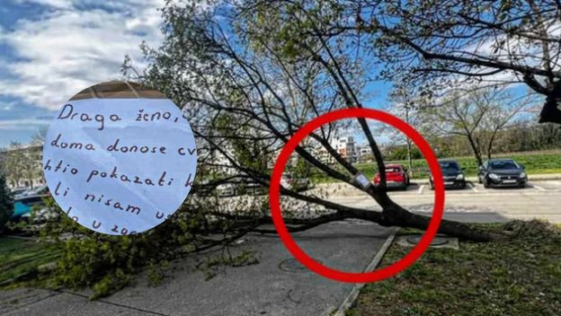 Ljubavna poruka na palom stablu u Hrvatskoj