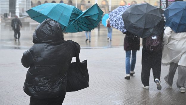 Nevrijeme u Zagrebu, ilustracija