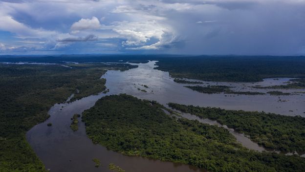 Amazona (Foto: AFP)
