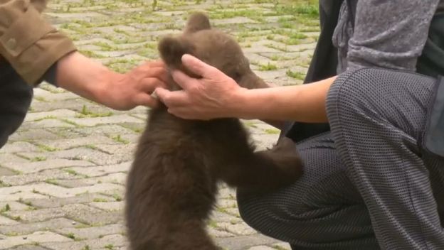 Siroče medvjed (Foto: Dnevnik.hr) - 4