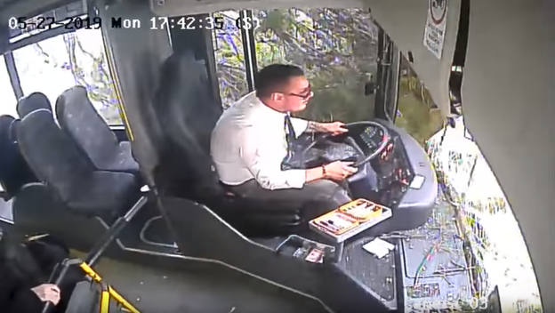 Na autobus u vožnji palo stablo bora (Foto: Screenshot/YouTube)