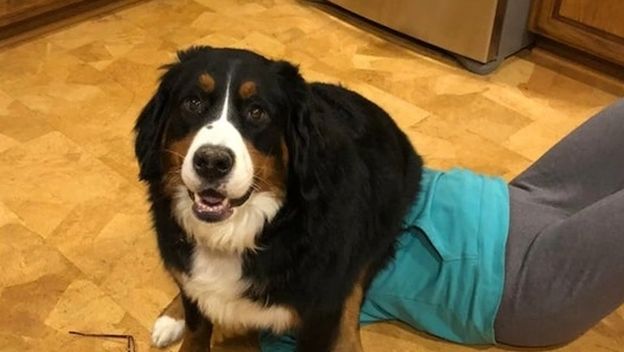 Dramatični ljubimci - 20