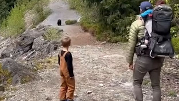 Medvjed u pratnji