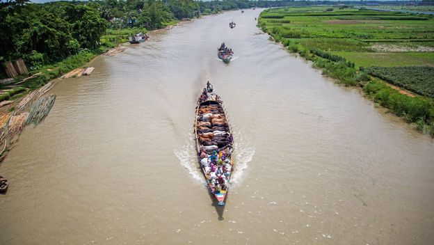 Brodom na stočnu tržnicu, Bangladeš - 4