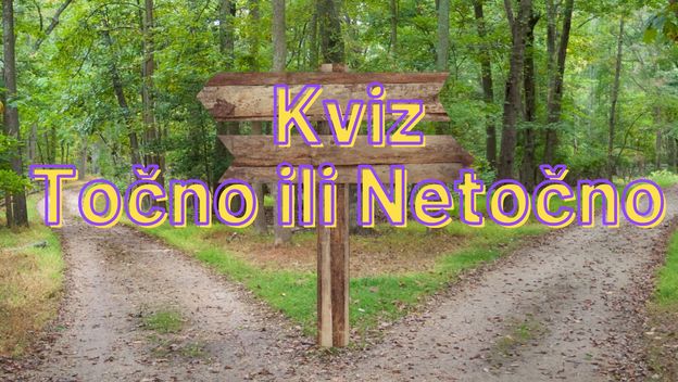 Puteljak u dva smjera s putokazom i natpis kviz točno ili netočno