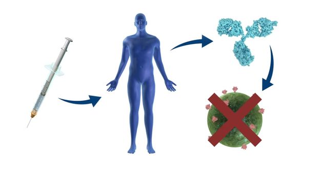 Novo cjepivo protiv virusa HIV-a