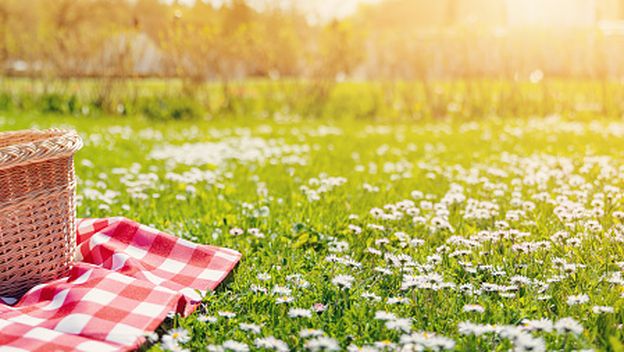 Proljeće, ilustracija