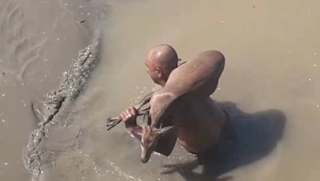 Spašavanje životinja