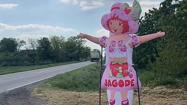 Jagodica Bobica
