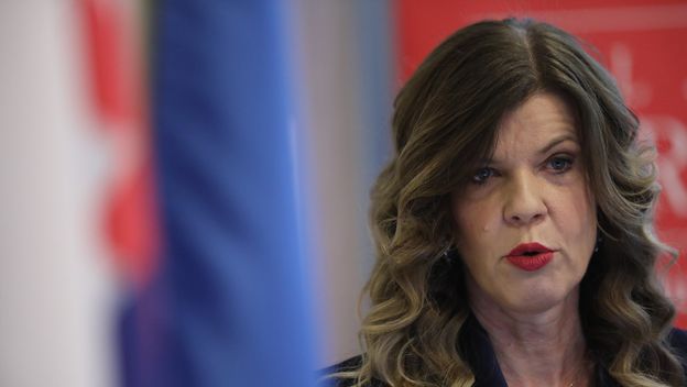 Eurozastupnica Biljana Borzan