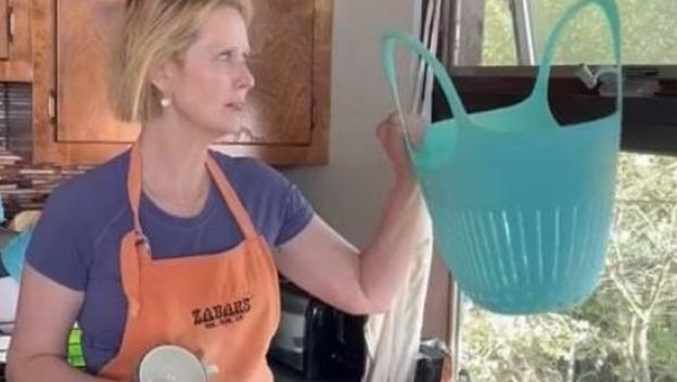 Cynthia Nixon