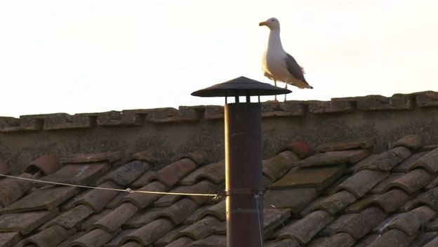 Dimnjak u Vatikanu s galebom - 2