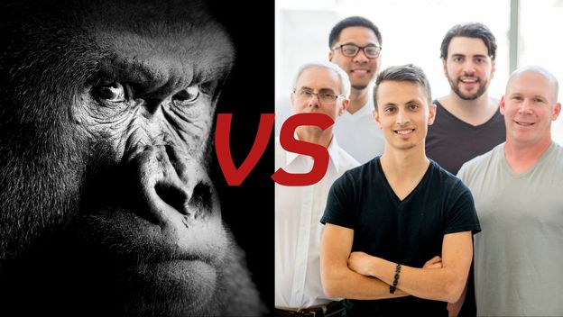 Ljutita gorila i skupina muškaraca